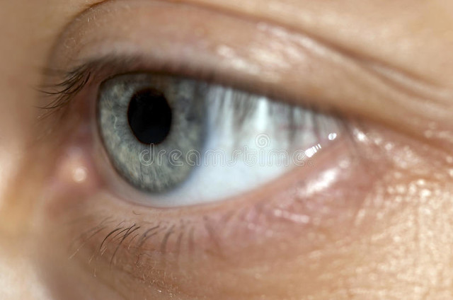 眼睛拍片多少钱？2024年最新资讯，让你不再迷茫，轻松应对眼部检查费用