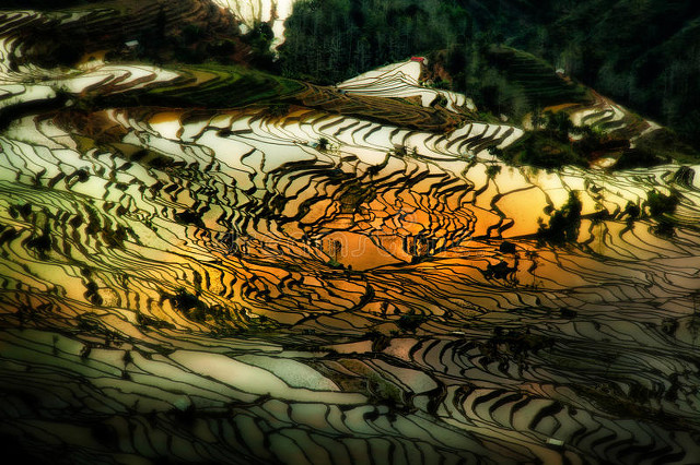 云南玉溪元江旅游景点：探访那诺梯田的绝美风光，感受它克崖画的古老魅力，还有世界第一高桥的惊险刺激