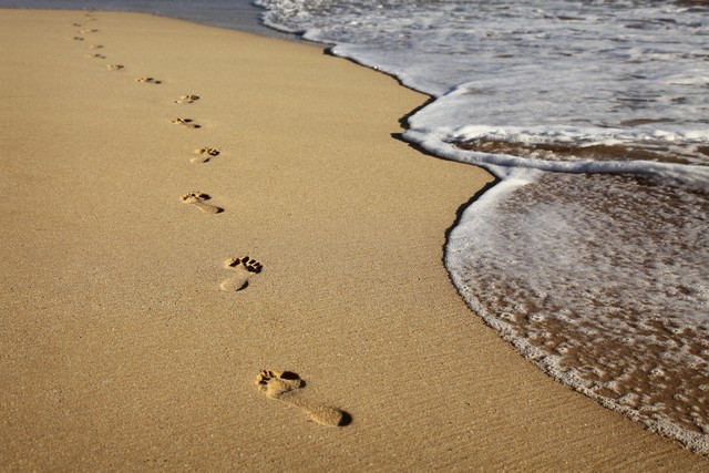 beach是什么？探索沙滩的无限魅力与秘密