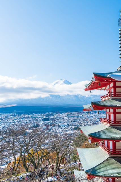 昆明熊猫旅行社日本旅游：从春城出发，带着梦想与期待，开启一段难忘的东瀛之旅，探索樱花之国的魅力，体验不一样的文化风情，感受最真实的日本