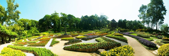 万绿花园为什么便宜？探秘那些不为人知的秘密，揭秘性价比之王背后的真相，带你走进一个充满惊喜与可能的购房世界