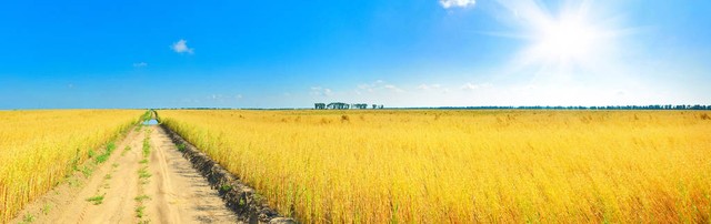 欢迎来到2024，巨大变革的土——当古老的大地遇上科技新浪潮，你准备好了吗？