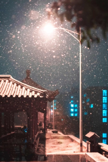 下雪为什么好玩？冬季的雪花如何点燃生活的火花，让你爱上这个季节！