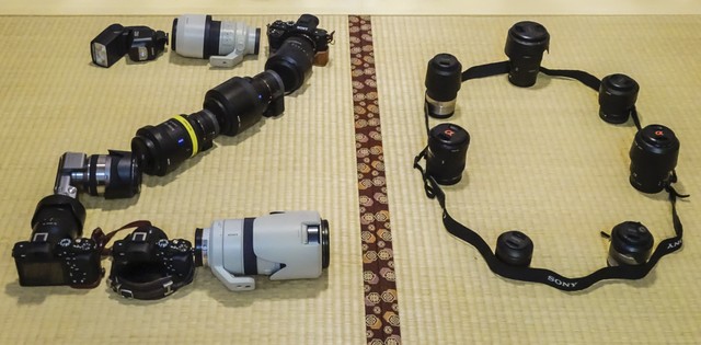 详细阅读:还能学会如何:从0到1的逆袭之旅,用真实的汗水浇灌梦想之花,见证平凡人不平凡的成长之路 还能学会如何:从0到1的逆袭之旅,用真实的汗水浇灌梦想之花,见证平凡人不平凡的成长之路