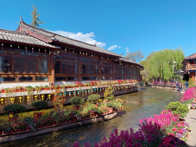 丽江4月份旅游攻略：从古城到雪山，一场说走就走的浪漫之旅，带你领略春日最美的风景线，感受不一样的人间四月天