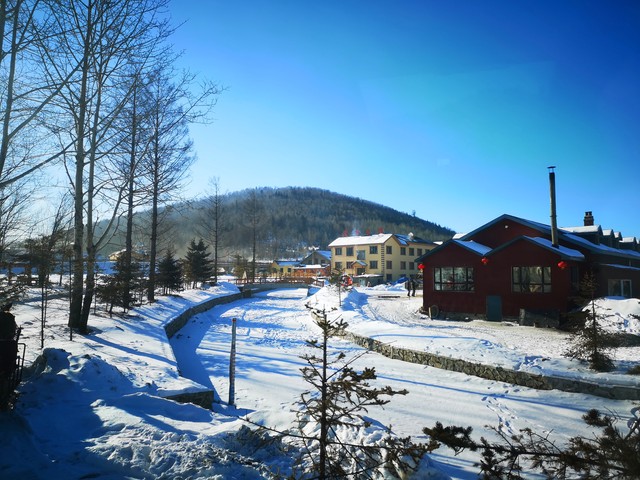 一月份适合去云南旅游吗？揭开冬季云南旅行的秘密，带你体验四季如春的魅力