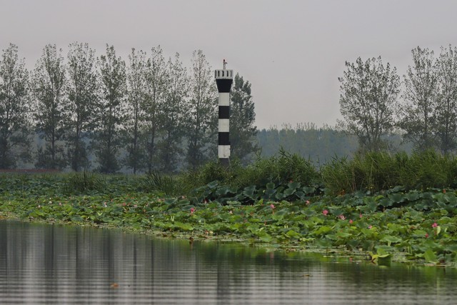如何到微山湖，一场说走就走的旅行攻略全解析