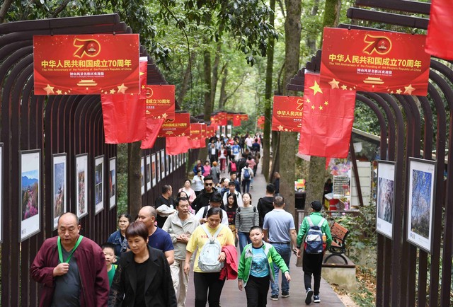 青岛海鲜市场哪里好？带你探访那些隐藏在市井中的海鲜宝藏，从团岛到埠西，每一处都是味蕾的狂欢！