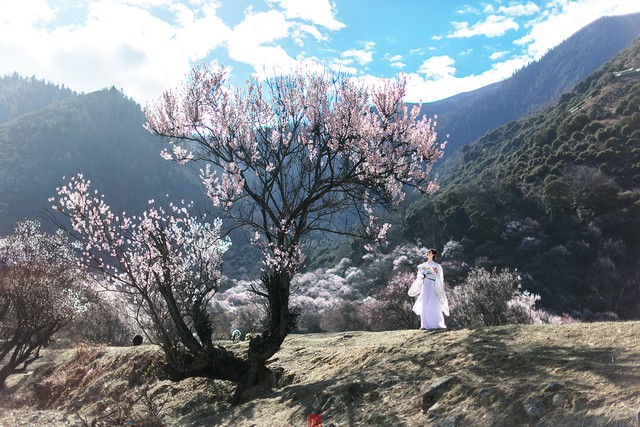 林州到邯郸多少公里？一段不到两小时的旅程，却承载着无数人对家乡的思念与向往