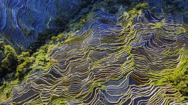 大地的艺术杰：从河洛大地到世界的美丽画卷——曲焕平用笔尖勾勒出的壮丽诗篇