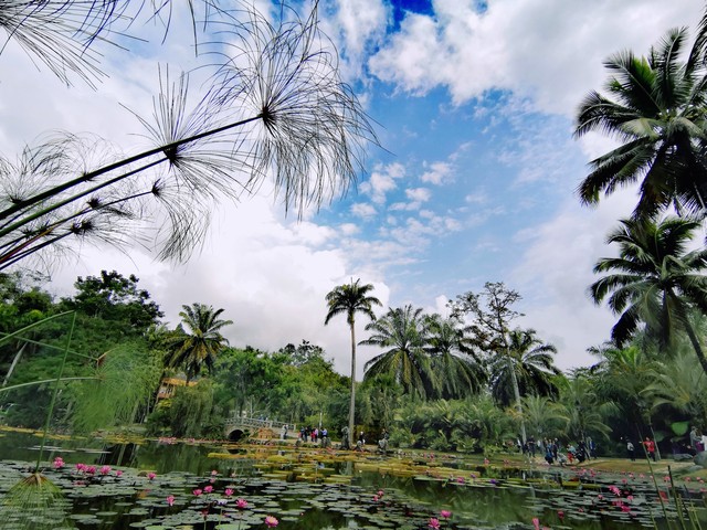 昆明卓越旅游网：探索四季如春的城市，发现隐藏的美景与不为人知的故事