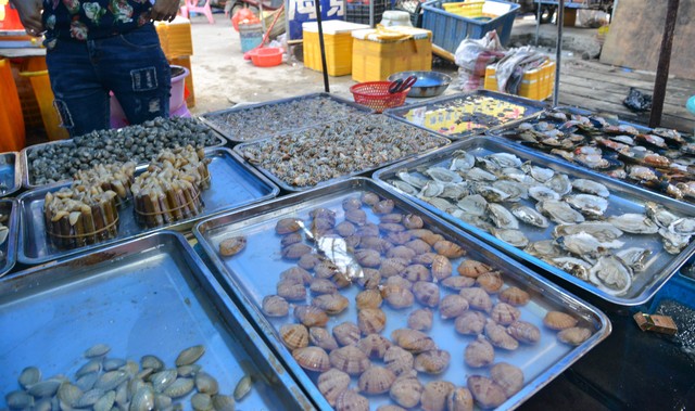 烟台海鲜市场在哪里？探寻这座海边城市的鲜味宝藏，从最热闹的渔港到隐藏在小巷子里的秘密基地，这里有一切你想要的海鲜盛宴！