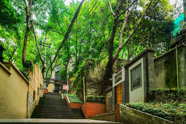 鹅岭公园怎么去？跟着我轻松玩转重庆美景
