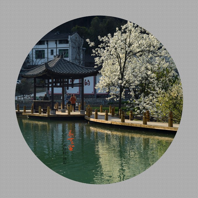 忠义酒馆怎么样？探秘这家让人心生向往的聚会圣地