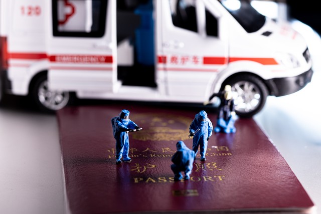 如何带宠物去澳洲：从准备到落地，一场充满爱与挑战的跨国之旅