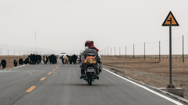 为什么不骑摩托车旅行？当风与自由相遇，你是否会心动？