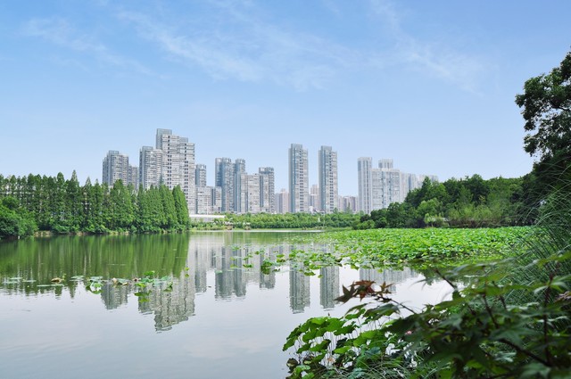 东湖庭园怎么样？武汉东湖庭园的那些事儿，你真的了解吗？