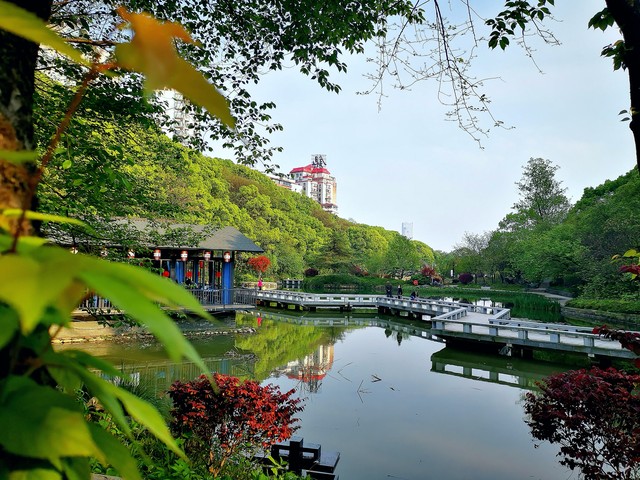 长沙市植物园在哪个区？探寻这座充满生机的绿色乐园，雨花区里藏着怎样的秘密？