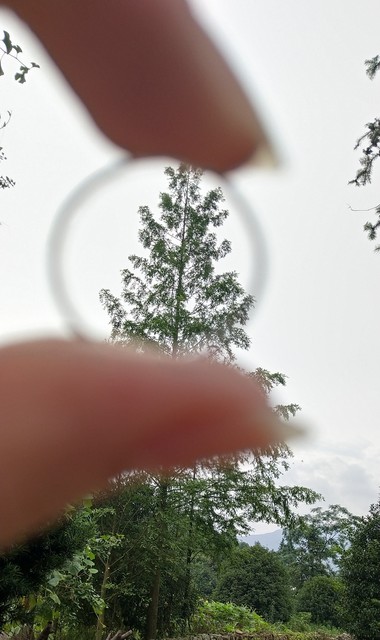 平湖南园学校怎么样？从家长到学生的真心话，带你走进这所九年一贯制民办学校的精彩世界