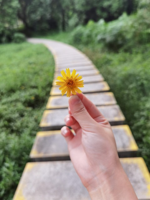 十一去哪里旅游人少？2024年国庆黄金周，带你探索那些不为人知的绝美小众景点！