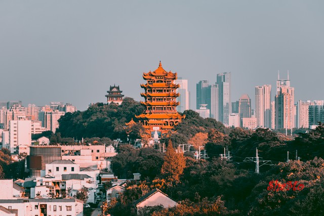 武汉一日游有哪些景点？跟着我一起探索这座城市的魅力吧！