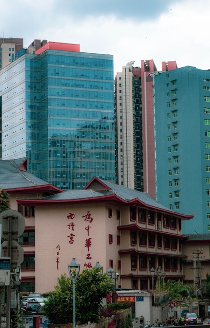 贵阳中医院在哪里？探寻贵阳市内最权威的中医药治疗中心，从南明区到云岩区，发现那些隐藏在城市角落里的健康守护者