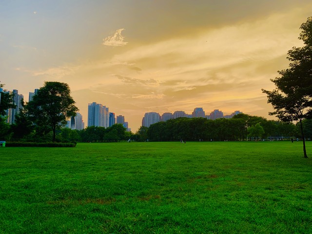 大理至普者黑旅游攻略：一场穿越山水的奇幻之旅