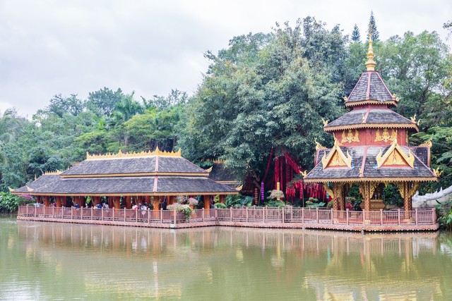 西双版纳旅游年卡：解锁热带雨林的无限可能，一年365天畅享神秘傣乡风情，体验不一样的四季如春！