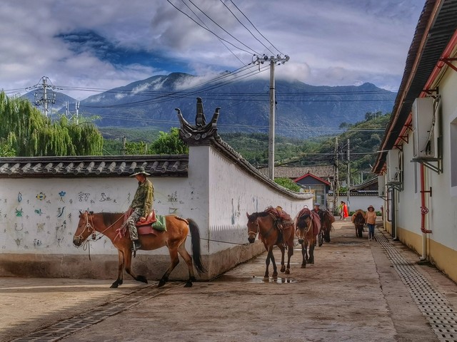 云南茶文化旅游景点：一场穿越时空的茶香之旅，带你领略千年茶韵与现代风情的完美融合