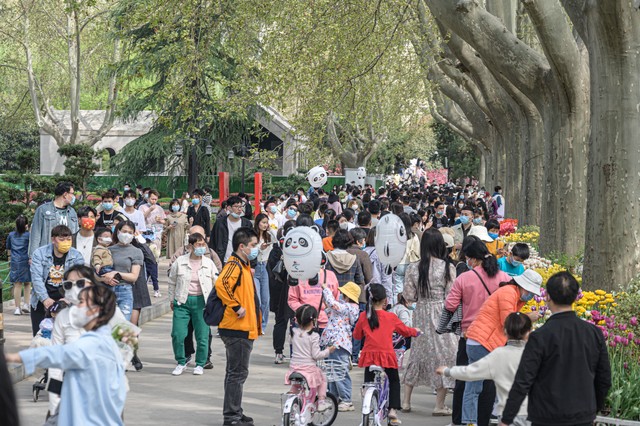 南京银杏湖在哪里？探秘这座生态乐园的迷人魅力