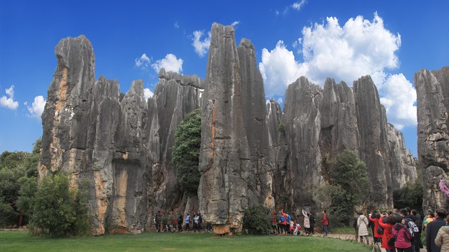 蚂蜂窝昆明旅游：一场说走就走的心灵之旅，探索彩云之南的无限魅力