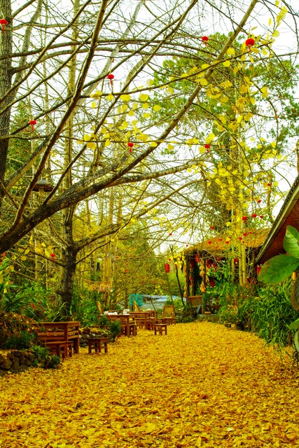 云南腾冲芒市五日旅游：一场穿越时空的奇妙之旅，从火山热海到古老村落，探索自然奇观与少数民族文化的完美融合，体验前所未有的温泉享受和徒步乐趣，这个冬天最值得期待的旅行计划！