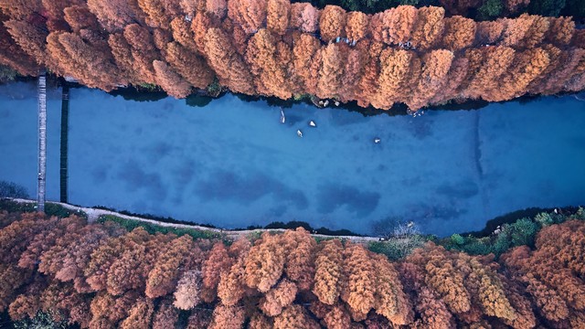 洛阳到大理旅游费用多少？最新攻略，带你轻松游云南，让钱包不再受罪，享受一场说走就走的心灵之旅！